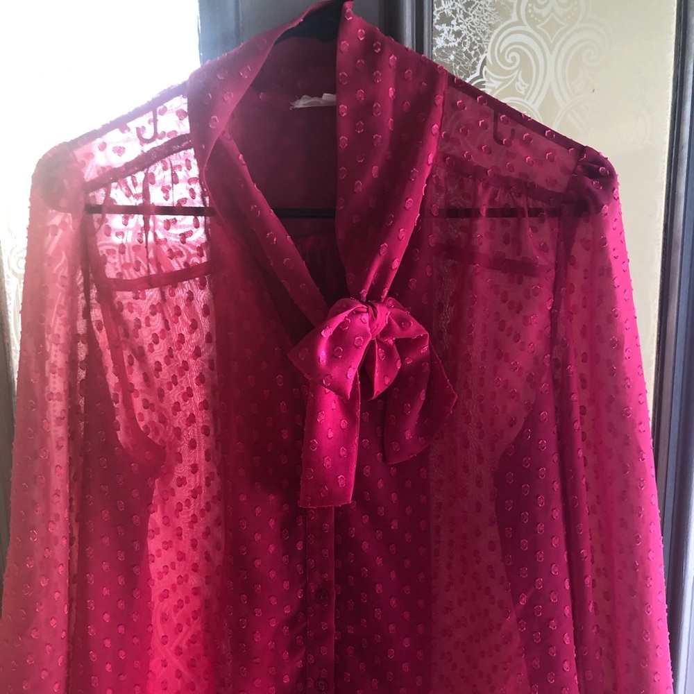 Got pink polkadot sheer button up